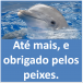 Até mais, e obrigado pelos peixes!